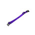 A purple dog collar with a plastic buckle and metal attachment ring. It features durable nylon material.