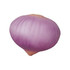 A purple onion-shaped stress reliever with a smooth finish, featuring a subtle gradient. It includes a logo.