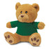 A brown teddy bear plush toy wearing a green shirt, featuring a soft texture and paw print details.