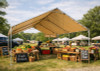 Farmers Market — Tan Cover