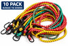 40" Multi Colored Bungee Tie Downs