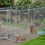 Dog Kennels Protect Your Dog From Running Away