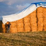 Moldy Hay – Why Hay Covers Are A Farmer’s Best Friend