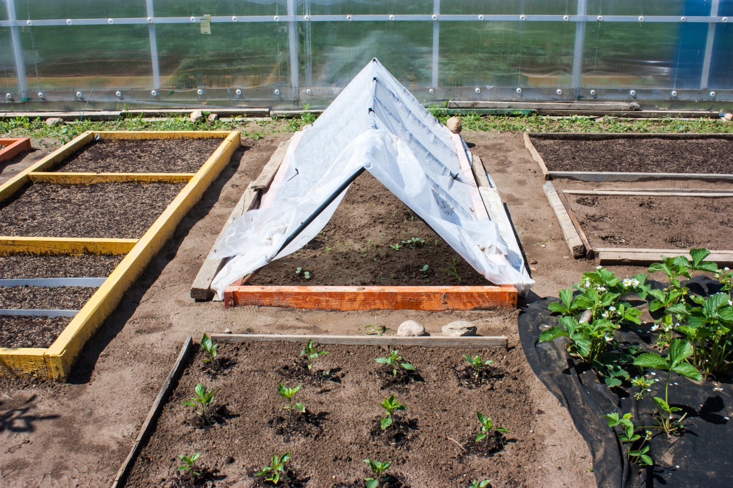 Essential Tips for Using Tarps in Agriculture and Farming