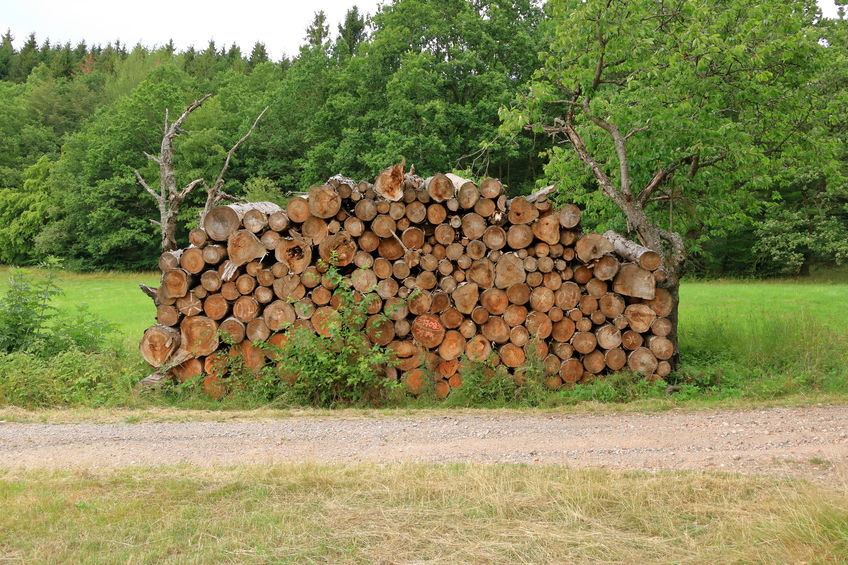 How to Store and Season Firewood with a Tarp Cover