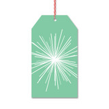 Mint Modern Starburst Gift Tags by Rock Scissor Paper