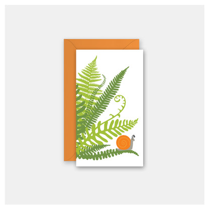 Ferns & Snail | Enclosure Cards | Pack of 4 cards & envelopes