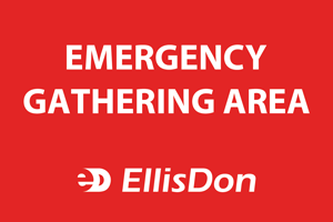 ed161-emerg-gathering2-24x36.png ed161-emerg-gathering2-24x36.png