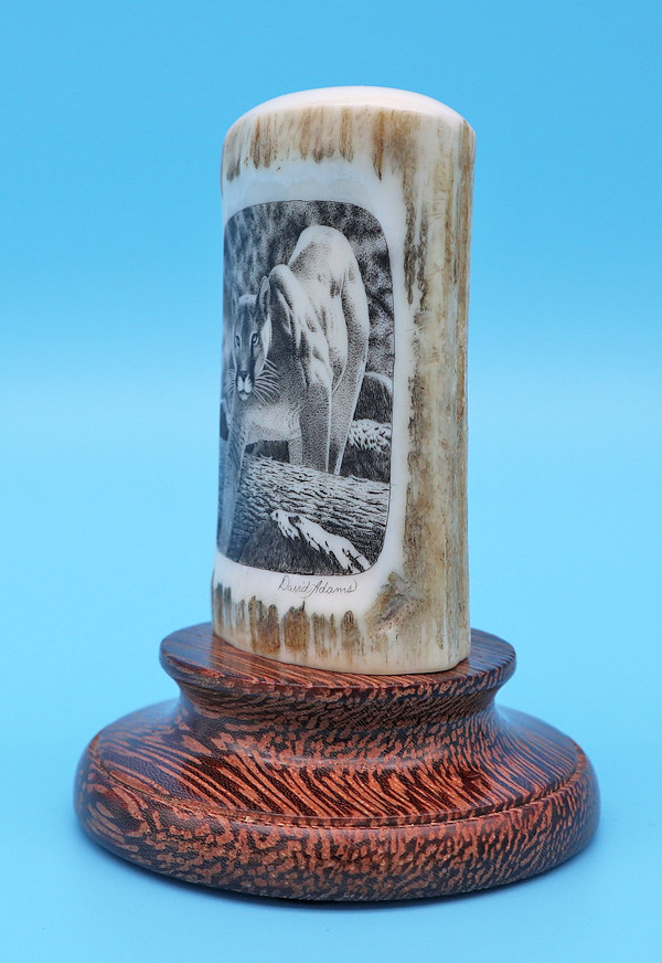 Mama Puma with Four Cubs. | Scrimshaw