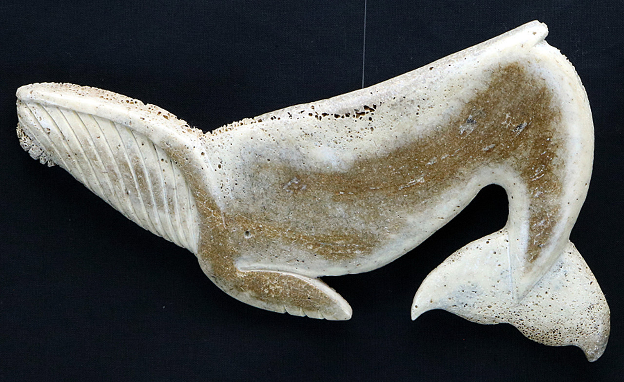 flying-fish » Whalebone