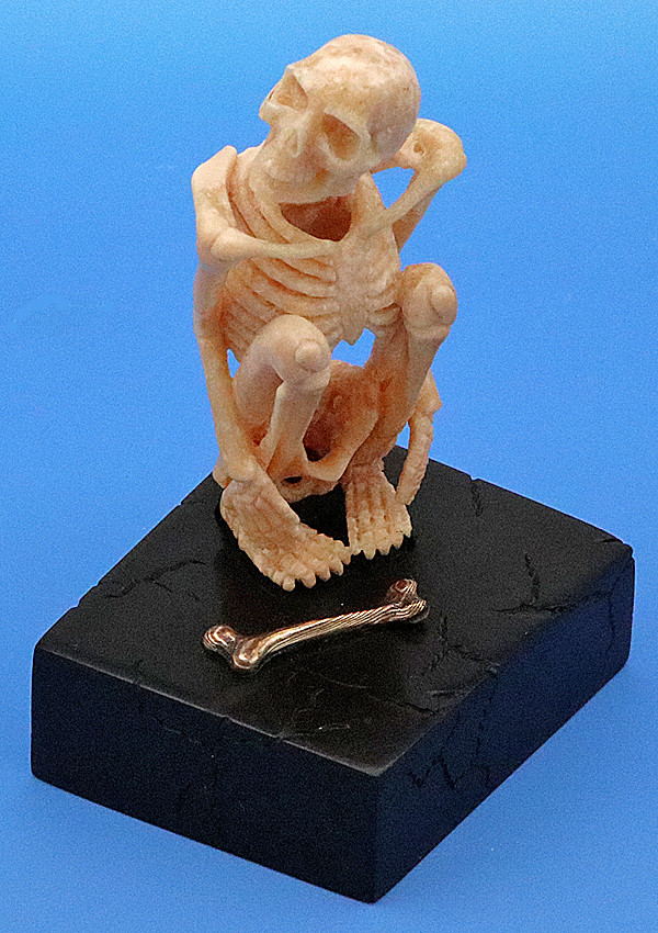 Fossil Walrus Ivory Sceleton with Bone - Russian American Company