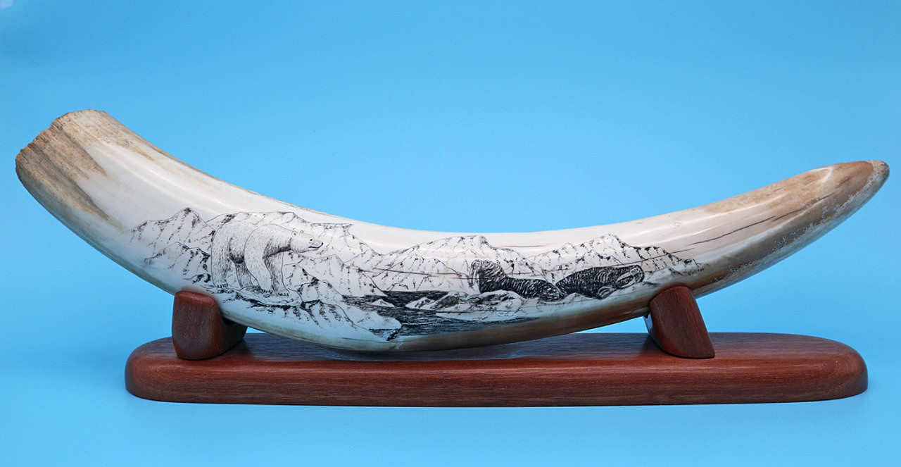 Red Fox Scrimshaw by Dennis Sims