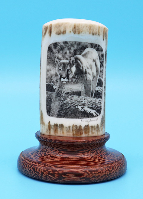 Cougar | Scrimshaw by David Adams
