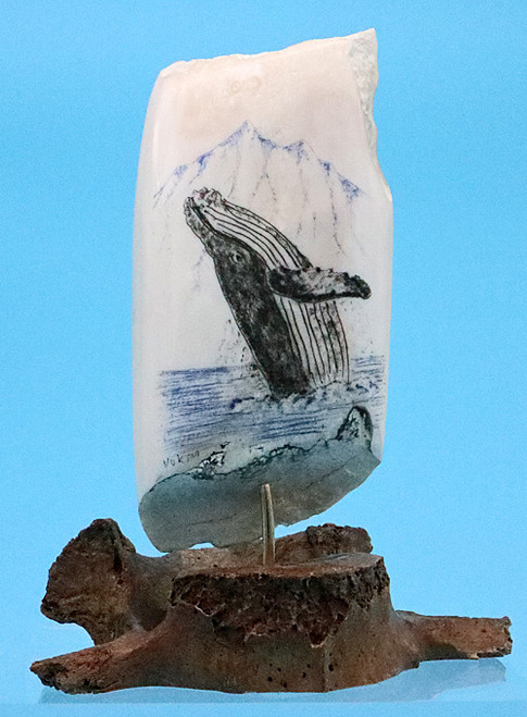 Whale Scrimshaw by George Vukson
