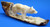 Walking Polar Bear - Fossilized Walrus Ivory Carvings - SOLD