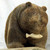 Large Bear Head Down with Salmon by Eugene Romanenko | Whalebone / Walrus Jawbone Carving