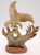 Bald Eagle with Fish Moose Antler Carving | Bone and Antler Carvings
