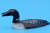 Loon by Larry Mayak | Alaskan Ivory Carving
