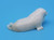 Resting Walrus by Arthur Gologergen | Alaskan Ivory Carving