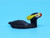  Ivory Puffin | Alaskan Ivory Carving
