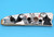 Puffins Scrimshaw - Walrus Tusk Sled Runner Artifact