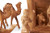 Complete Large Nativity set with 3D Palm Tree Creche and set of 3 Camels