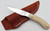 Caper Knife - Dall Sheep Handle | Alaskan Knife