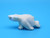 Wandering Polar Bear | Alaskan Ivory Carving