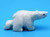 Wandering Polar Bear | Alaskan Ivory Carving