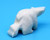 Wandering Polar Bear | Alaskan Ivory Carving