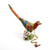 Fancy the Red Macaw   | Bejeweled Enamel Boxes
