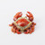 Ruby Red Crab Miniature | Bejeweled Enamel Boxes