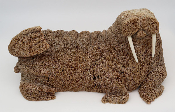 Resting Walrus | Whalebone / Walrus Jawbone Carving