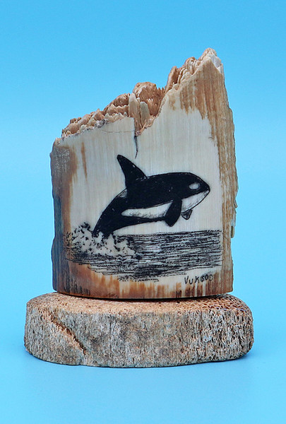 Jumping Killer Whale - Scrimshaw by George Vukson