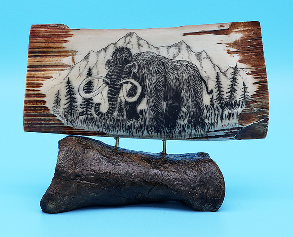 Large Woolly Mammoth Scrimshaw by George Vukson