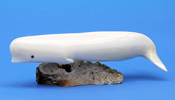 Beluga on a Whalebone Base | Alaskan Ivory Carving