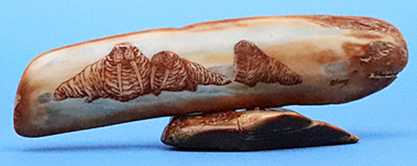 Walruses- Scrimshaw by Dennis Sims