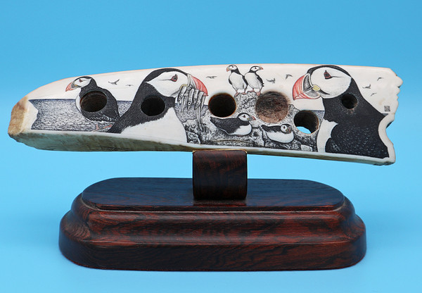 Puffins Scrimshaw - Walrus Tusk Sled Runner Artifact