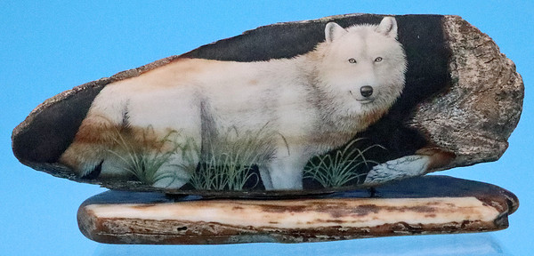 Arctic Wolf | Scrimshaw 