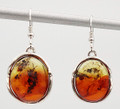 Two Color Baltic Amber Earrings