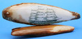 Large Sailing Ship Scrimshaw by Michael Cohen