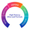 Biocidin Botanicals™ Olivirex® - High Potency Olive Leaf Formula 