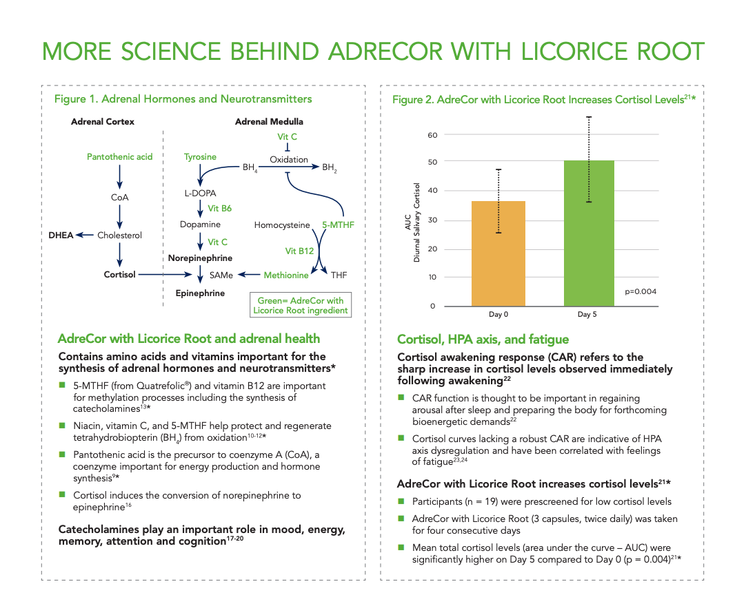 adrecor-licorice-root-2.png