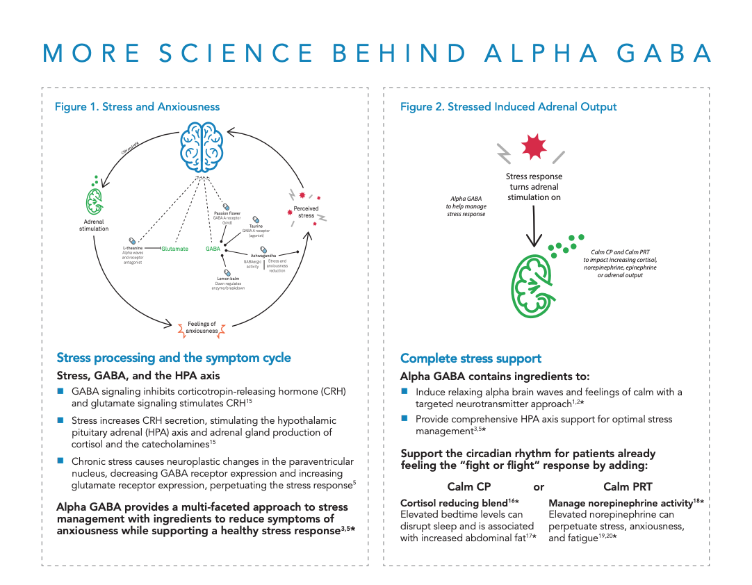 alpha-gaba-neuroscience-2.png