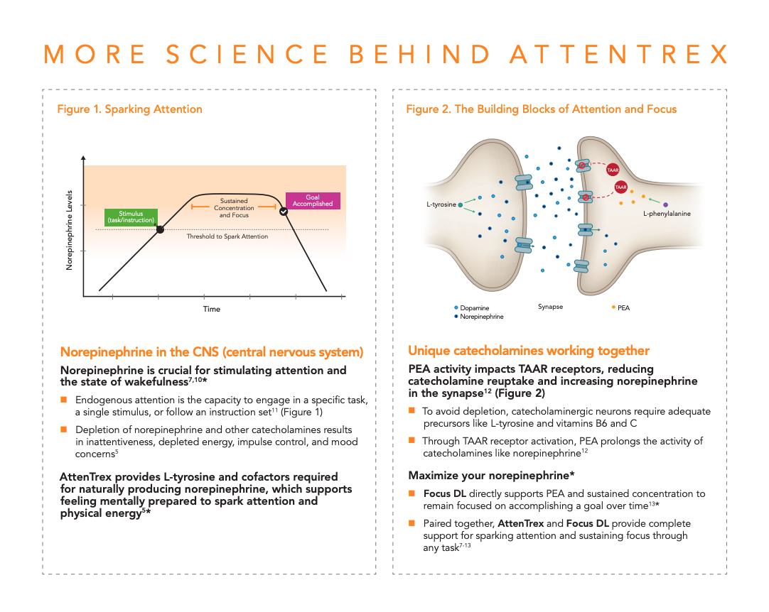 attentrex-neuroscience-2.png