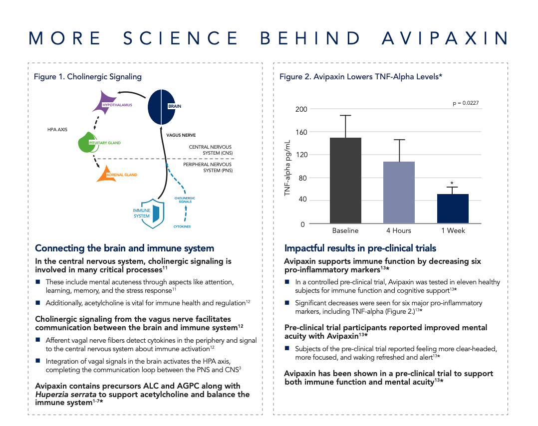 avipaxin-by-neuroscience-2.png