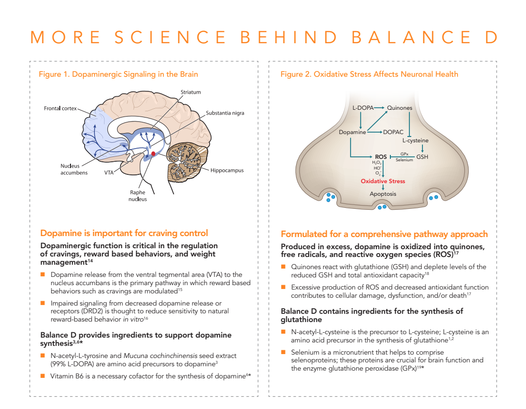 balance-d-neuroscience-2.png