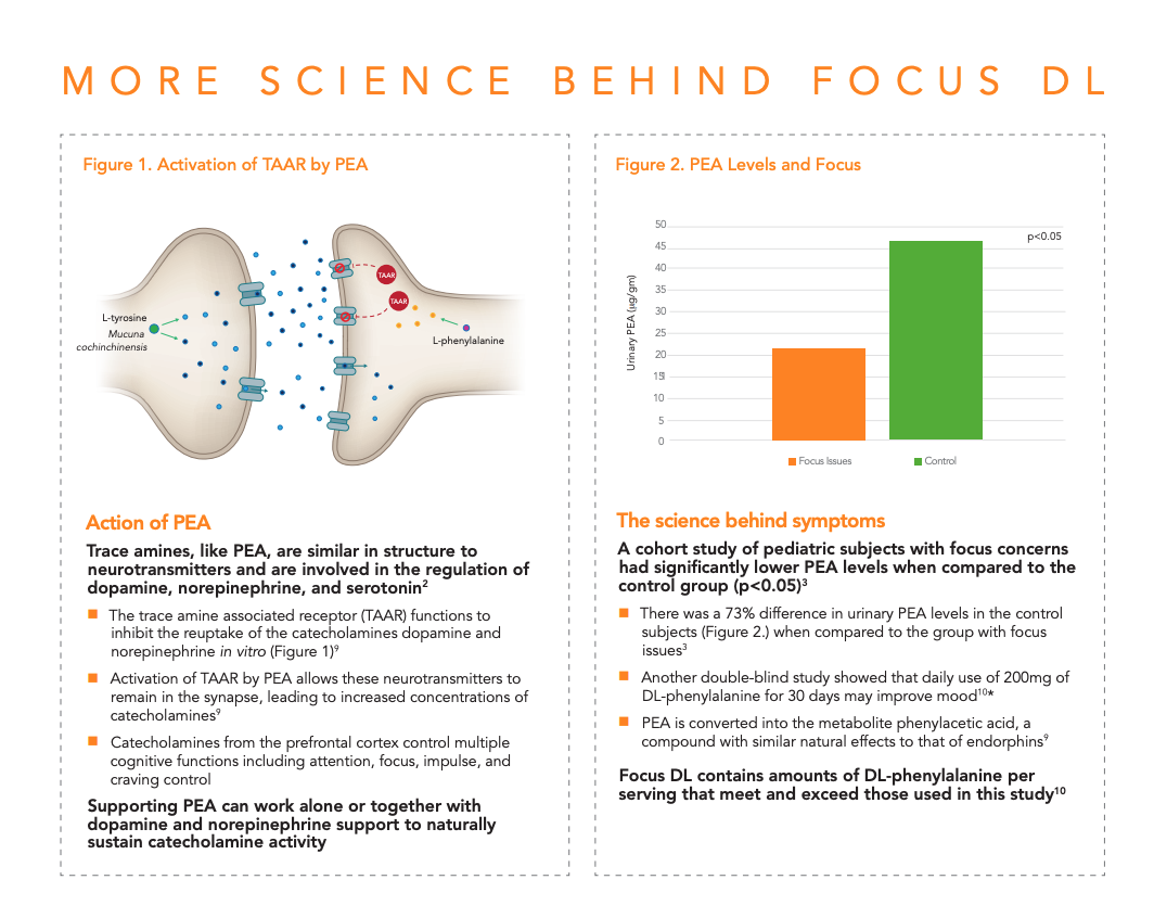 focus-dl-neuroscience-2.png