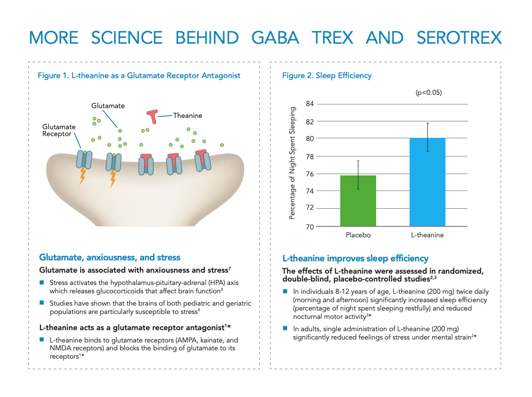 gaba-trex-neuroscience-2.png