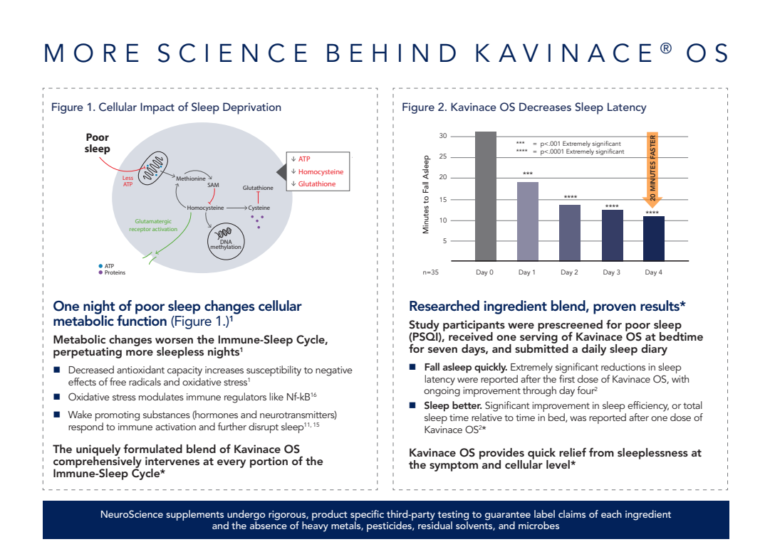 kavinace-neuroscience-2.png